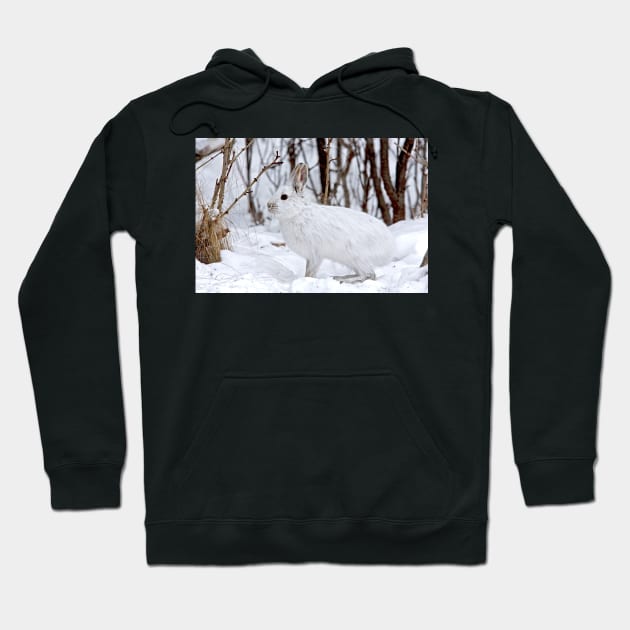 Snowshoe Hare Hoodie by Jim Cumming